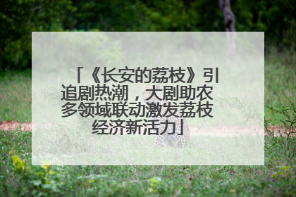 《长安的荔枝》引追剧热潮，大剧助农多领域联动激发荔枝经济新活力