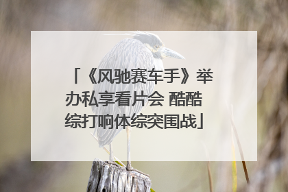 《风驰赛车手》举办私享看片会 酷酷综打响体综突围战
