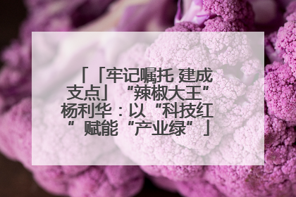 「牢记嘱托 建成支点」“辣椒大王”杨利华：以“科技红”赋能“产业绿”