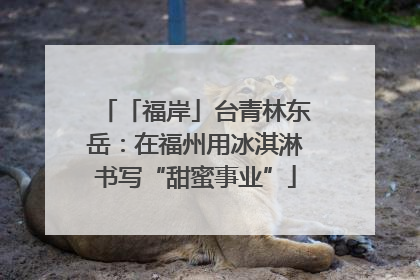 「福岸」台青林东岳：在福州用冰淇淋书写“甜蜜事业”