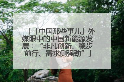 「中国那些事儿」外媒眼中的中国新能源发展：“非凡创新、稳步前行、需求侧强劲”