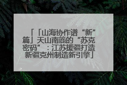 「山海协作谱“新”篇」天山南簏的“苏克密码”：江苏援疆打造新疆克州制造新引擎