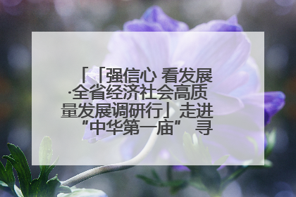 「强信心 看发展·全省经济社会高质量发展调研行」走进“中华第一庙” 寻根伏羲 祭祖龙城