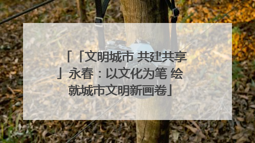 「文明城市 共建共享」永春：以文化为笔 绘就城市文明新画卷