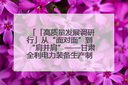 「高质量发展调研行」从“面对面”到“肩并肩”——甘肃全利电力装备生产制造项目一线见闻
