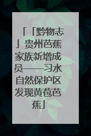 「黔物志」贵州芭蕉家族新增成员——习水自然保护区发现黄苞芭蕉