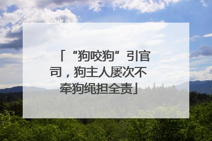 “狗咬狗”引官司，狗主人屡次不牵狗绳担全责