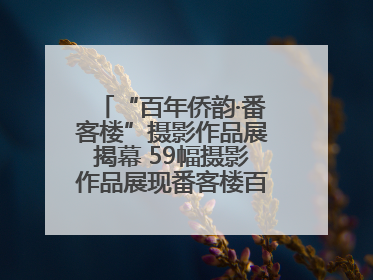 “百年侨韵·番客楼”摄影作品展揭幕 59幅摄影作品展现番客楼百年侨韵