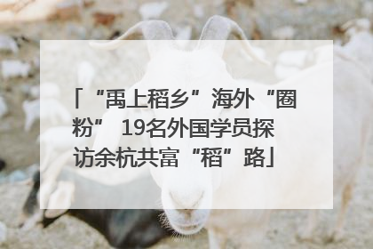 “禹上稻乡”海外“圈粉” 19名外国学员探访余杭共富“稻”路