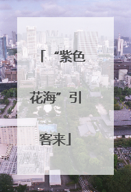 “紫色花海”引客来