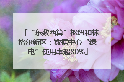 “东数西算”枢纽和林格尔新区：数据中心“绿电”使用率超80%