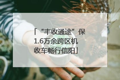 “丰收通途”保1.6万余跨区机收车畅行信阳