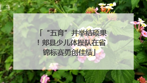 “五育”并举结硕果！郏县少儿体操队在省锦标赛勇创佳绩