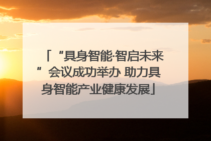 “具身智能·智启未来”会议成功举办 助力具身智能产业健康发展