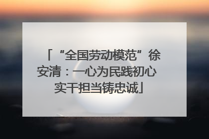 “全国劳动模范”徐安清：一心为民践初心 实干担当铸忠诚