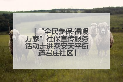 “全民参保·福暖万家”社保宣传服务活动走进泰安天平街道岩庄社区