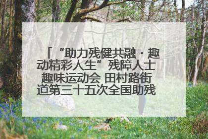 “助力残健共融・趣动精彩人生”残障人士趣味运动会 田村路街道第三十五次全国助残日主题活动圆满举办