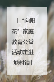 “向阳花”家庭教育公益活动走进塘村镇