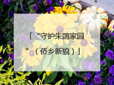 “守护朱鹮家园”（侨乡新貌）