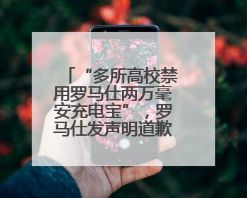 “多所高校禁用罗马仕两万毫安充电宝”，罗马仕发声明道歉：已展开核查