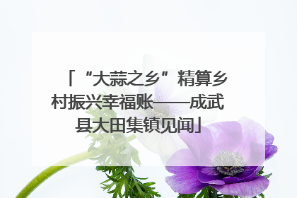 “大蒜之乡”精算乡村振兴幸福账——成武县大田集镇见闻