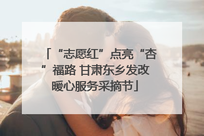 “志愿红”点亮“杏”福路 甘肃东乡发改暖心服务采摘节