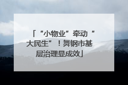 “小物业”牵动“大民生”！舞钢市基层治理显成效
