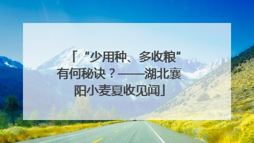 “少用种、多收粮”有何秘诀？——湖北襄阳小麦夏收见闻