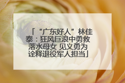 “广东好人”林佳泰：狂风巨浪中勇救落水母女 见义勇为诠释退役军人担当