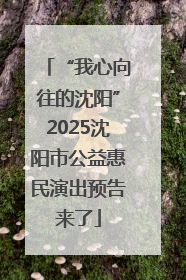 “我心向往的沈阳”2025沈阳市公益惠民演出预告来了
