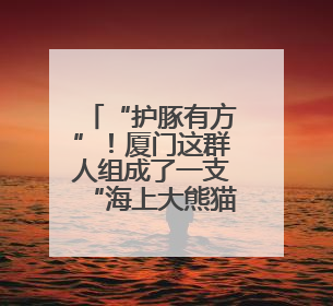 “护豚有方”！厦门这群人组成了一支“海上大熊猫”守护者联盟