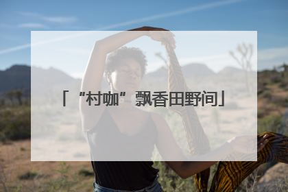 “村咖”飘香田野间