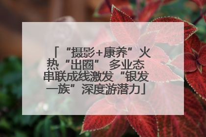 “摄影+康养”火热“出圈” 多业态串联成线激发“银发一族”深度游潜力