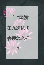 “星舰”第九次试飞表现怎么样？