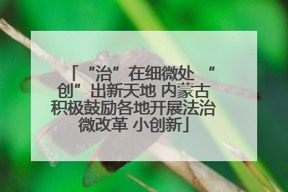 “治”在细微处 “创”出新天地 内蒙古积极鼓励各地开展法治微改革 小创新