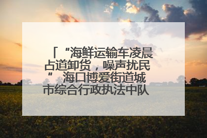 “海鲜运输车凌晨占道卸货，噪声扰民” 海口博爱街道城市综合行政执法中队：将联合交警加强长堤路一带巡逻