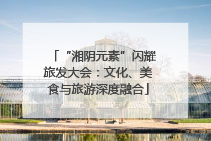 “湘阴元素”闪耀旅发大会：文化、美食与旅游深度融合