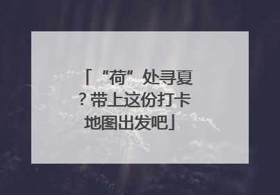 “荷”处寻夏？带上这份打卡地图出发吧