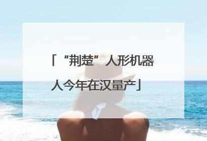 “荆楚”人形机器人今年在汉量产