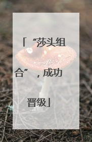 “莎头组合”，成功晋级