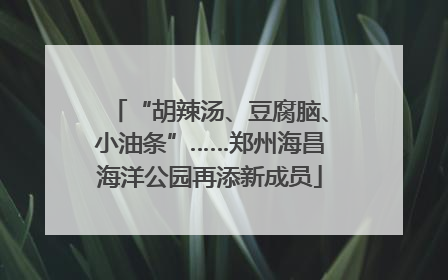“胡辣汤、豆腐脑、小油条”……郑州海昌海洋公园再添新成员