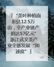 “茶叶种植面积达12.5万亩，全产业链产值达57亿元” 浙江武义茶产业全链发展“加速度”