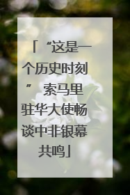 “这是一个历史时刻” 索马里驻华大使畅谈中非银幕共鸣