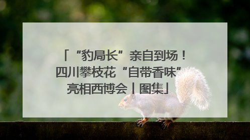 “豹局长”亲自到场！四川攀枝花“自带香味”亮相西博会丨图集