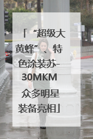 “超级大黄蜂”、特色涂装苏-30MKM 众多明星装备亮相
