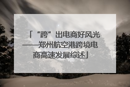 “跨”出电商好风光——郑州航空港跨境电商高速发展综述
