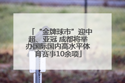 “金牌球市”迎中超、亚冠 成都将举办国际国内高水平体育赛事10余项