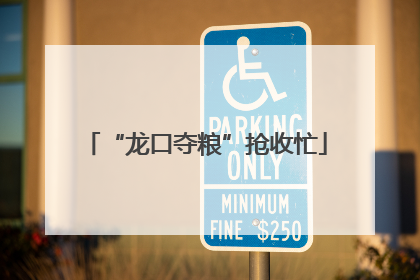 “龙口夺粮”抢收忙
