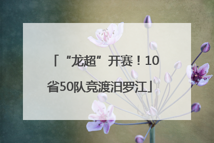 “龙超”开赛！10省50队竞渡汨罗江