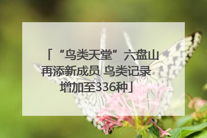 “鸟类天堂”六盘山再添新成员 鸟类记录增加至336种